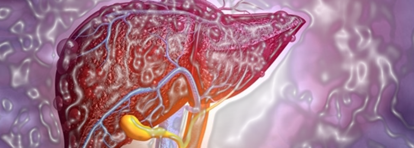 Introduction to Liver Disease